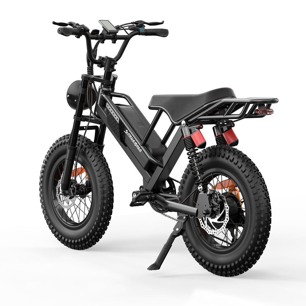 Eilleo 20" Fat Tire E-Bike – 750W Motor (920W Peak), 24.9 mph, 50–70 Mile Range, 48V 15.6Ah Battery, Dual Suspension, Shimano 7-Speed