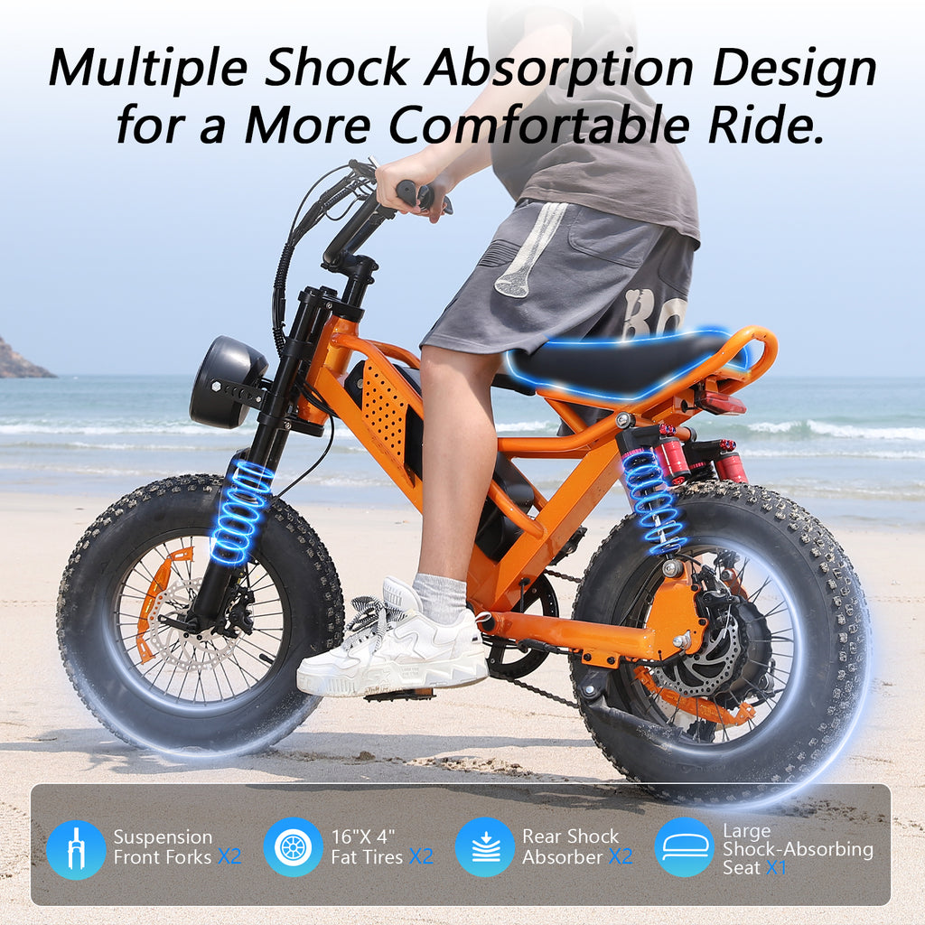 Eilleo 16" Fat Tire E-Bike – 750W Motor (920W Peak), 21.7 mph, 50–70 Mile Range, 48V 15.6Ah Battery, Dual Suspension, Shimano 6-Speed