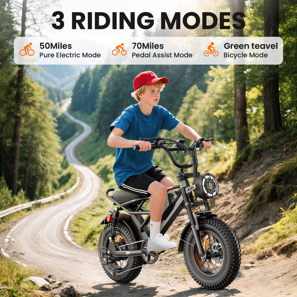 Eilleo 16" Fat Tire E-Bike – 750W Motor (920W Peak), 21.7 mph, 50–70 Mile Range, 48V 15.6Ah Battery, Dual Suspension, Shimano 6-Speed