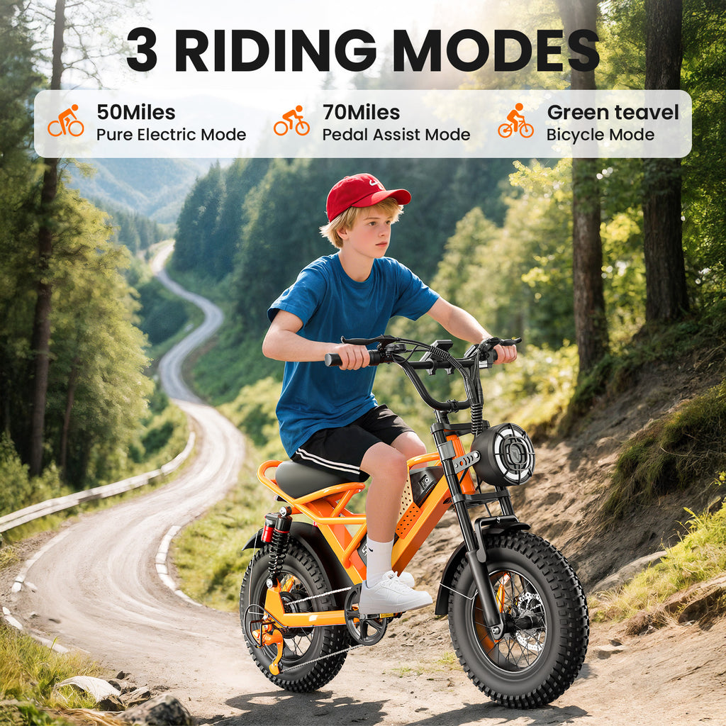 Eilleo 16" Fat Tire E-Bike – 750W Motor (920W Peak), 21.7 mph, 50–70 Mile Range, 48V 15.6Ah Battery, Dual Suspension, Shimano 6-Speed