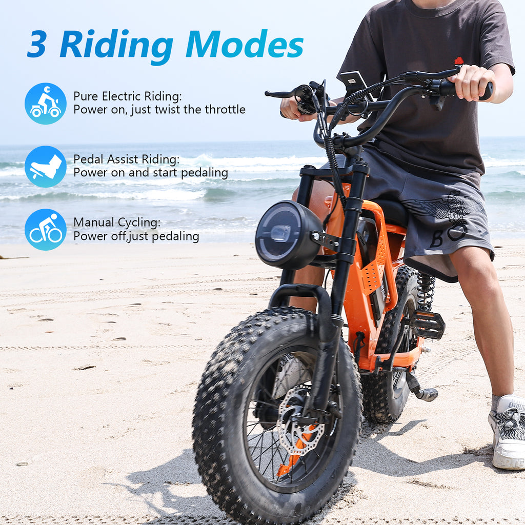 Eilleo 16" Fat Tire E-Bike – 750W Motor (920W Peak), 21.7 mph, 50–70 Mile Range, 48V 15.6Ah Battery, Dual Suspension, Shimano 6-Speed