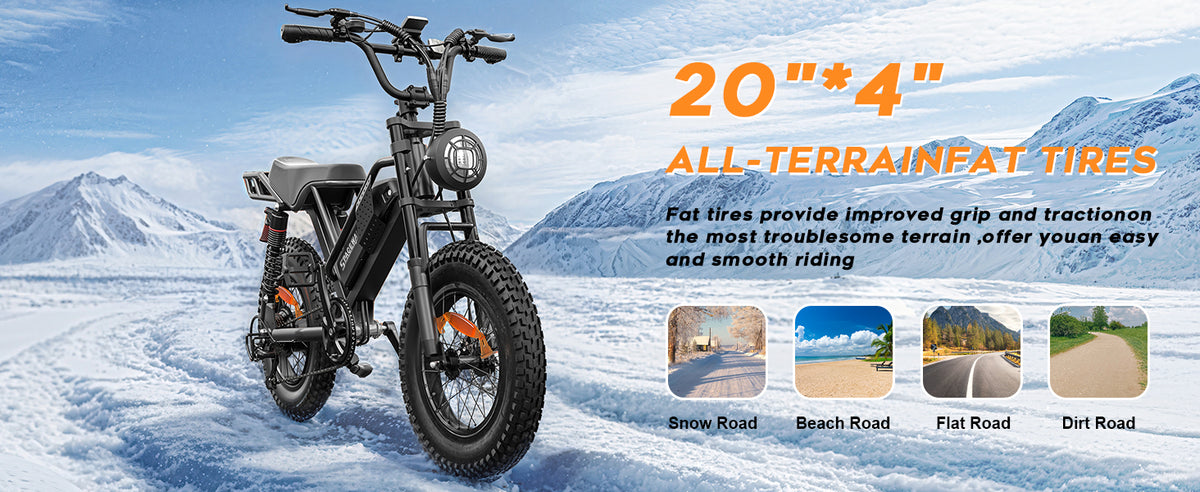 Eilleo 20" Fat Tire E-Bike – 750W Motor (920W Peak), 24.9 mph, 50–70 Mile Range, 48V 15.6Ah Battery, Dual Suspension, Shimano 7-Speed